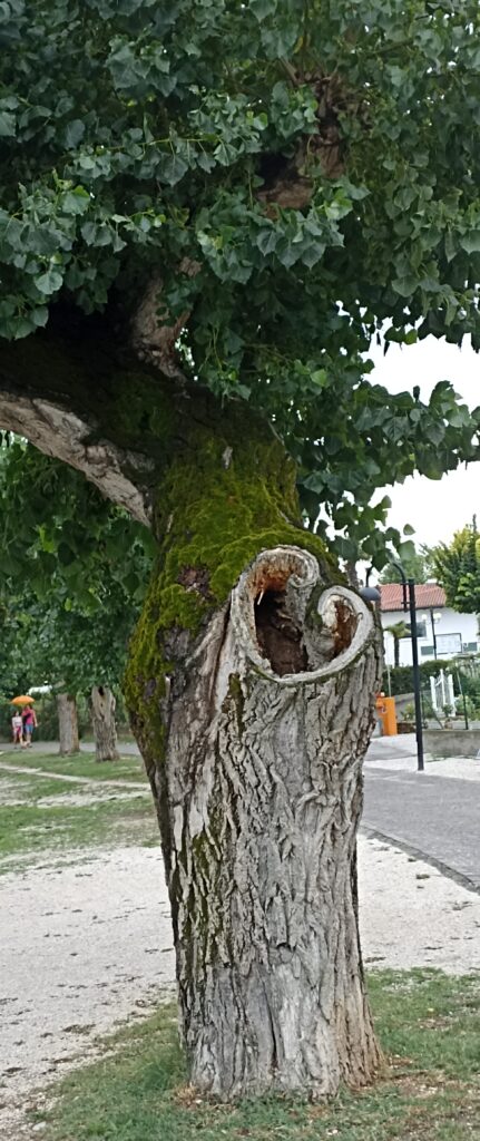 1771180357730 1771180357730