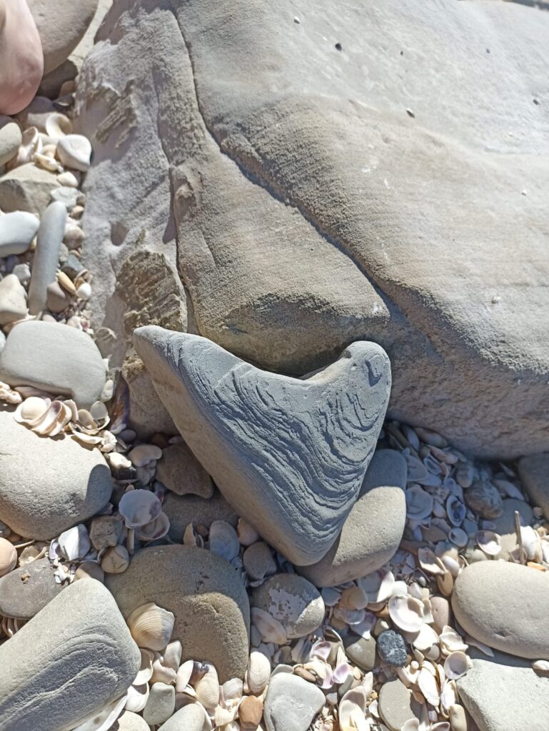 whatsapp image 2026 02 15 at 17.27.00 whatsapp image 2026 02 15 at 17.27.00